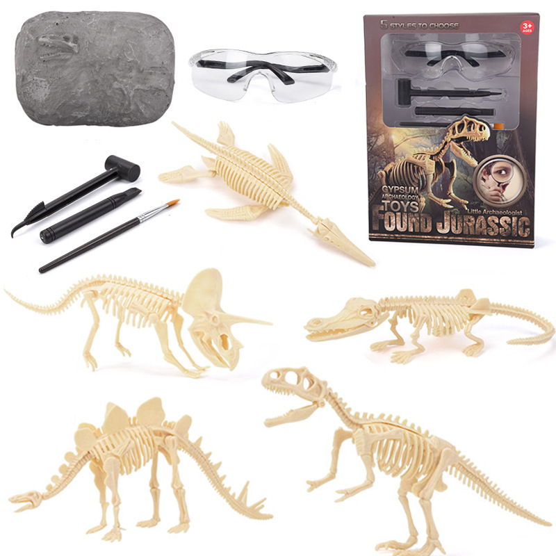 Science Toys - ชุดขุดค้นฟอสซิลไดโนเสาร์ STEM ของเล่นโมเดลโครงกระดูกไดโนเสาร์ ของขวัญวิทยาศาสตร์เพื่อการศึกษาสำหรับเด็กชายและเด็กหญิง