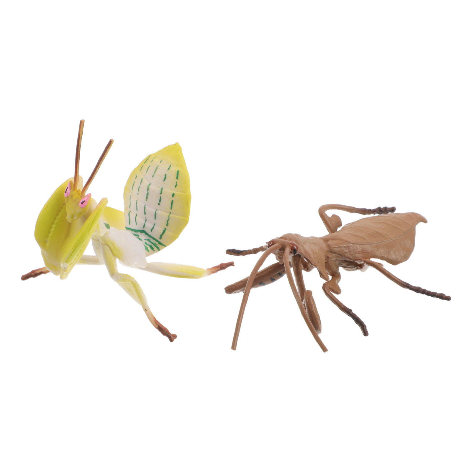 โมเดลตั๊กแตนจอมปลอมสมจริง 2 ชิ - Science Toys บทวิจารณ์และราคา
