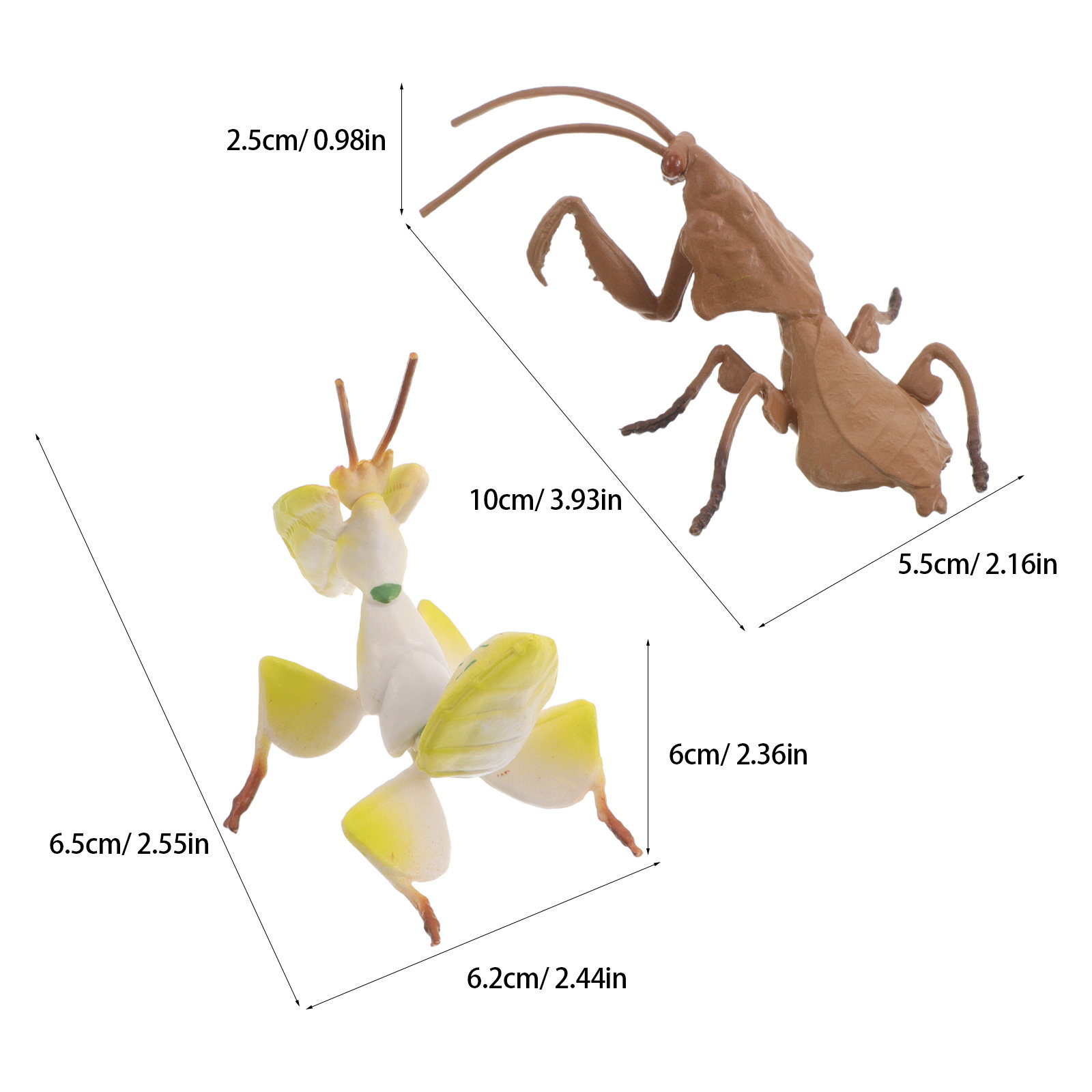 โมเดลตั๊กแตนจอมปลอมสมจริง 2 ชิ - Science Toys บทวิจารณ์และราคา