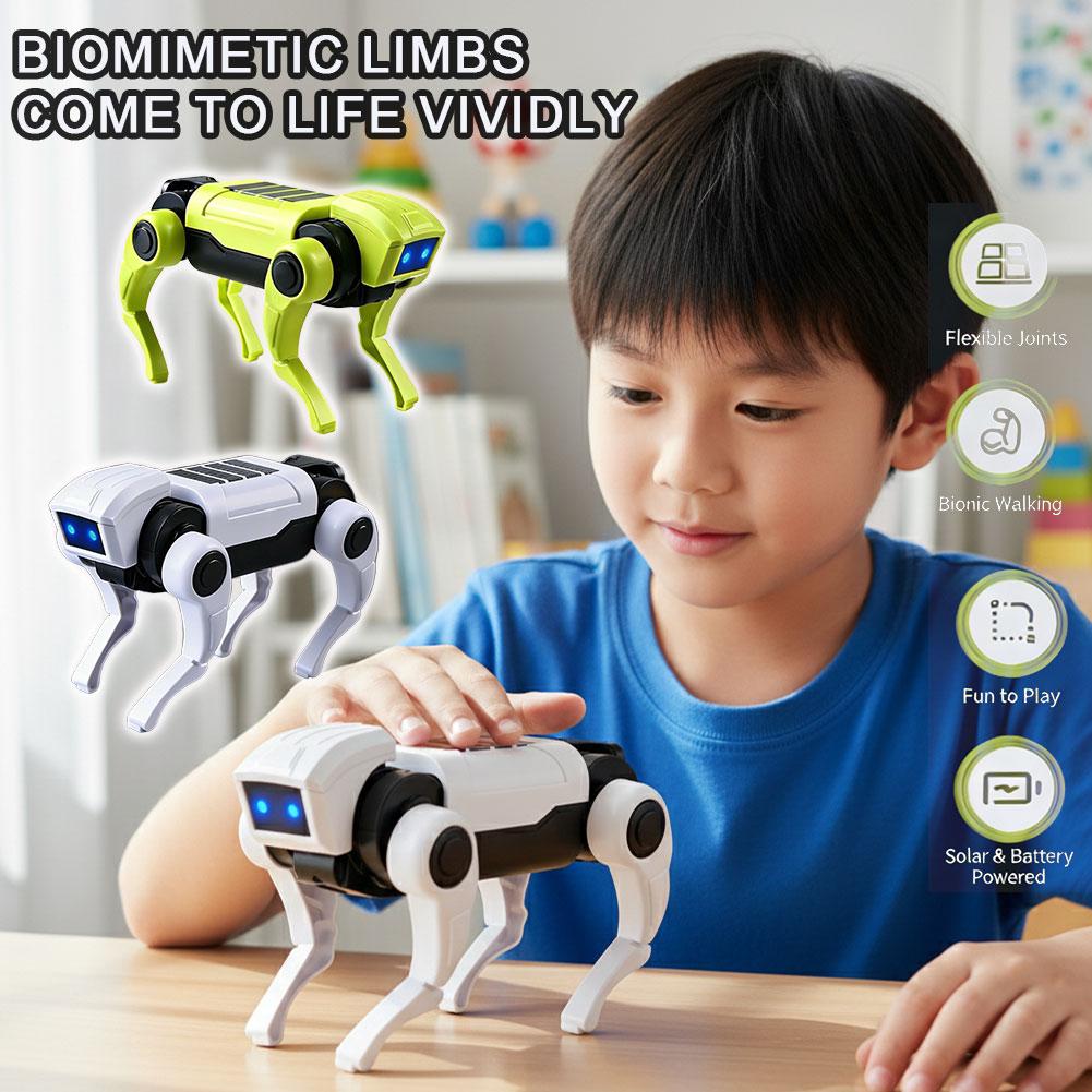 หุ่นยนต์บังคับวิทยุ 1/2 ชิ้น ข - Science Project Robot บทวิจารณ์และราคา